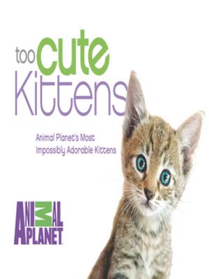 cover image of Too Cute Kittens